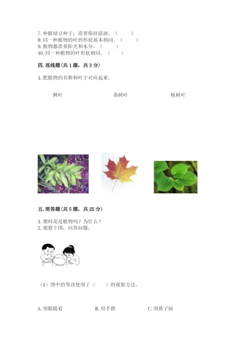 教科版一年级上册科学期末测试卷精品（含答案）.docx