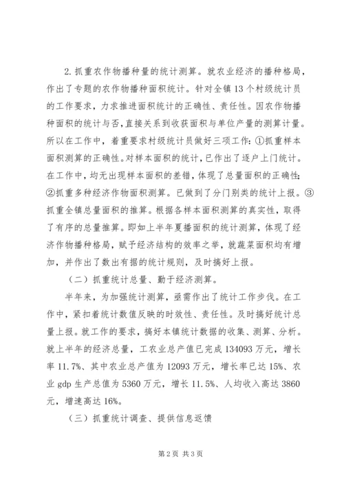 乡镇统计工作半年总结.docx
