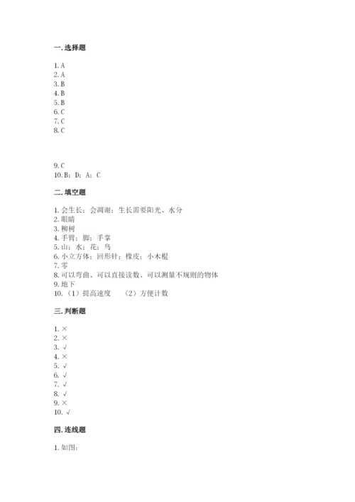 教科版一年级上册科学期末测试卷含答案ab卷.docx