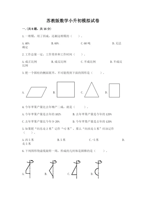 苏教版数学小升初模拟试卷【名师系列】.docx