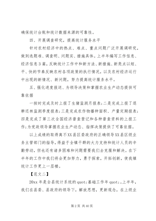 乡镇统计个人工作总结.docx