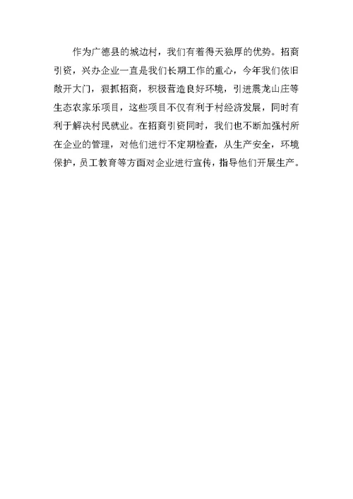 村党支部年终工作总结优选