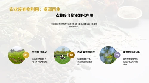 绿色农业：中草药种植新视角