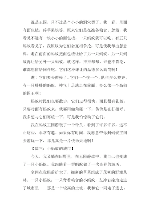 关于蚂蚁作文400字.docx