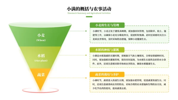 绿色清新风二十四节气之小满PPT模板
