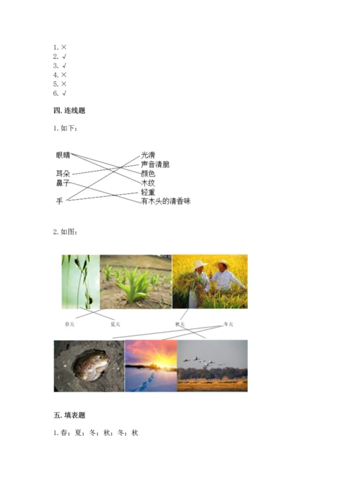 教科版二年级上册科学期末测试卷（模拟题）.docx