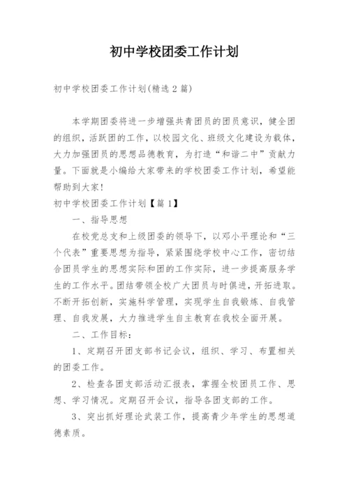 初中学校团委工作计划.docx