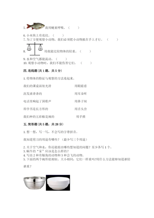 教科版一年级下册科学期末测试卷及参考答案【综合卷】.docx