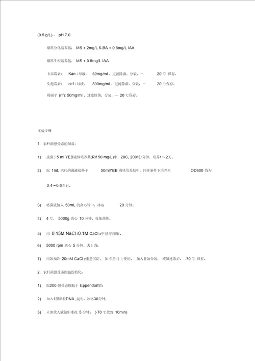 烟草遗传转化实验