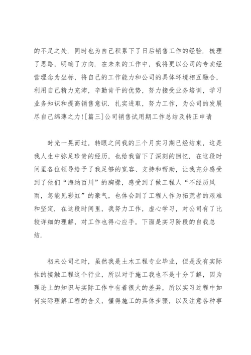 公司销售试用期工作总结及转正申请.docx