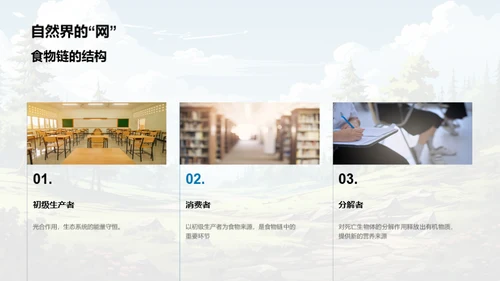 生态平衡与食物链