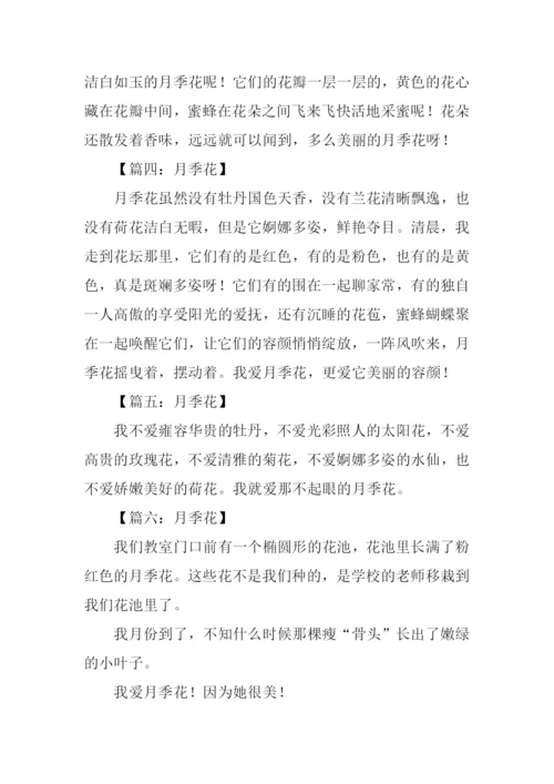 月季花的作文100字.docx
