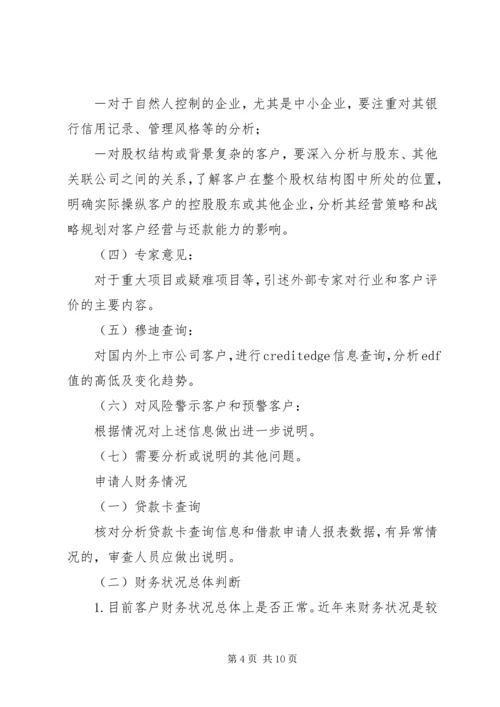 咨询审查报告内容 (3).docx