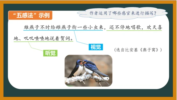 统编版语文四年级上册 第三单元习作：  写观察日记课件