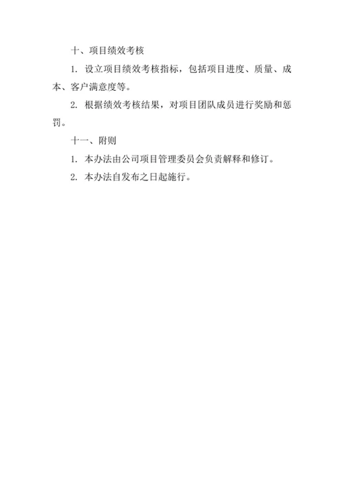 旅游信息咨询公司项目管理办法