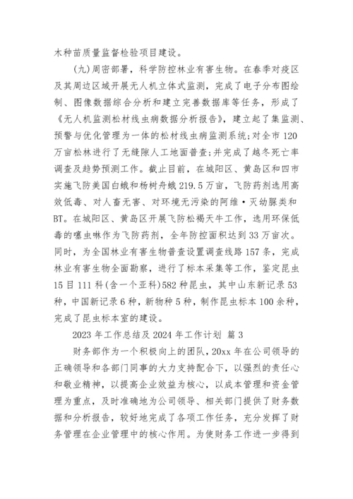 2023年工作总结及2024年工作计划_1.docx
