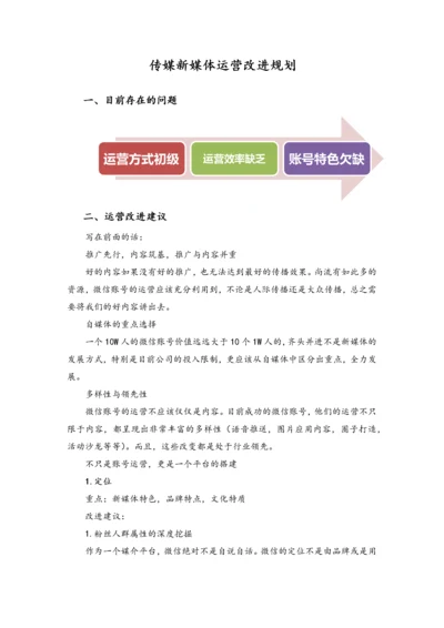 新媒体运营规划.docx