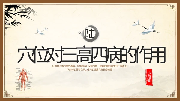 棕色复古中医经络养生PPT模板宣传PPT动态PPT