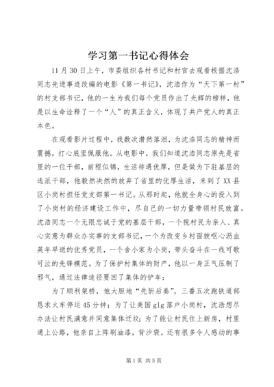 学习第一书记心得体会 (3).docx