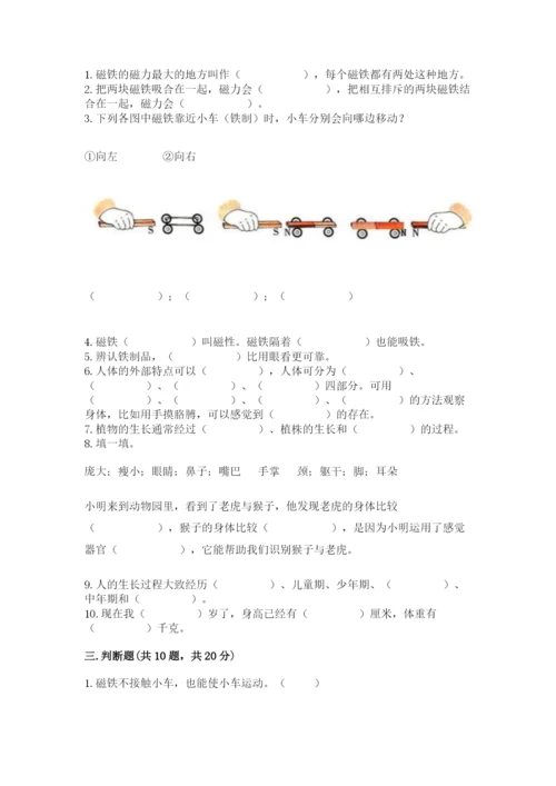 教科版小学科学二年级下册 期末测试卷精品【有一套】.docx