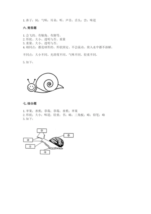 教科版一年级下册科学期末测试卷【基础题】.docx