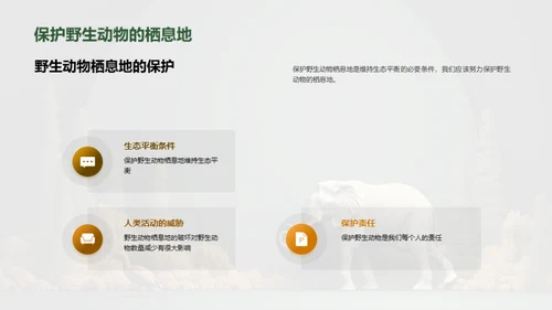 保护野生动物