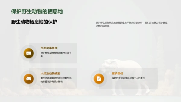 保护野生动物