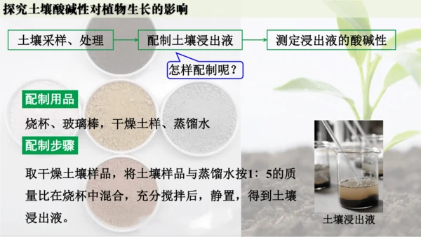 跨学科实践活动9  探究土壤酸碱性对植物生长的影响课件(共33张PPT)
