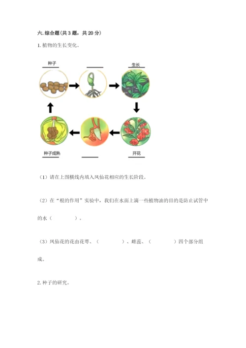 教科版四年级下册科学第一单元《植物的生长变化》测试卷【综合卷】.docx