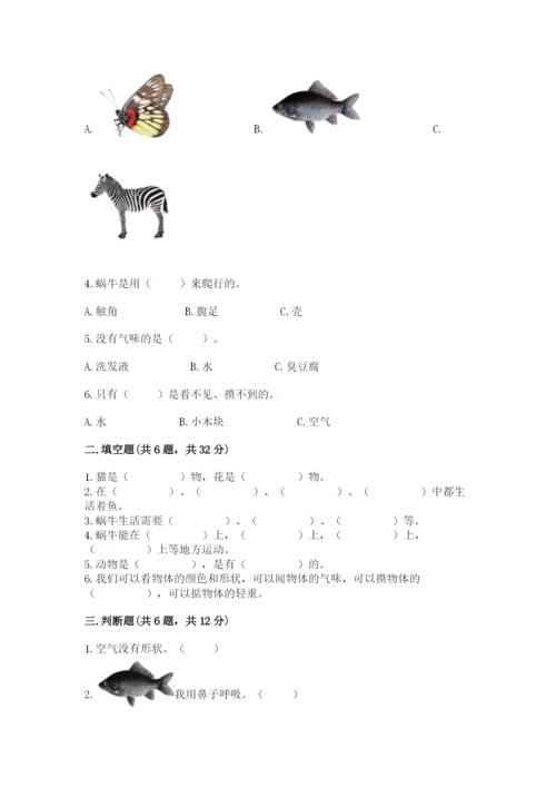 教科版一年级下册科学期末测试卷加精品答案.docx
