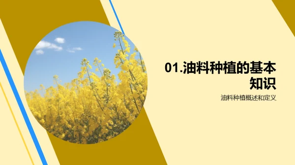 智慧农业：油料种植新篇章