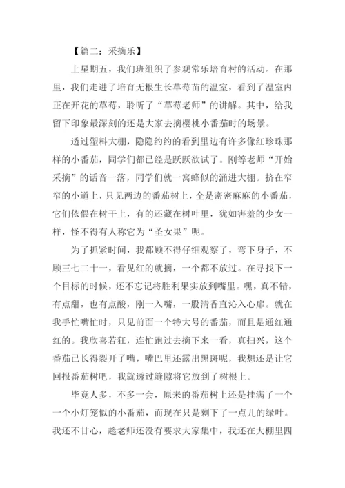 采撷作文00.docx