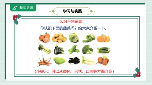 【核心素养目标】主题四 活动一《会爬的蔬菜》课件-【东北师大版】《劳动实践》二上