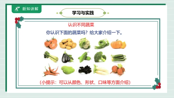 【核心素养目标】主题四 活动一《会爬的蔬菜》课件-【东北师大版】《劳动实践》二上