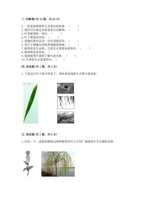 教科版一年级上册科学期末测试卷精品【b卷】.docx