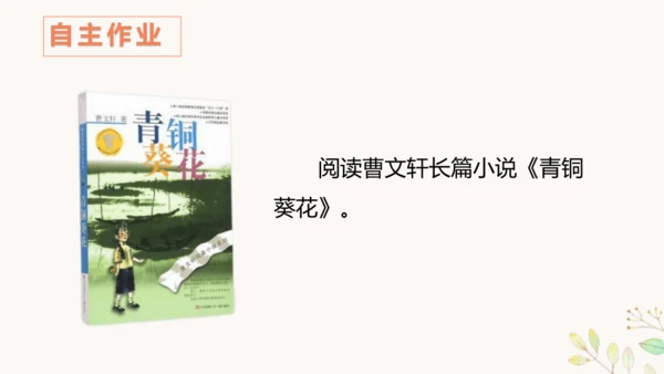第21课《芦花鞋》（教学课件 ）