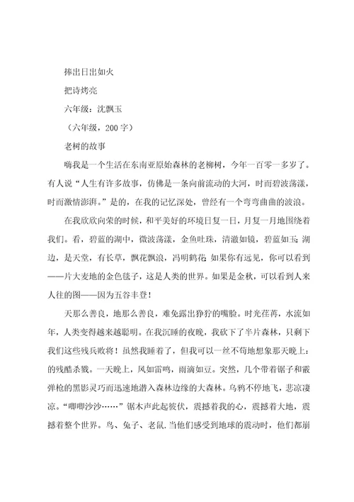 老树三年级的作文