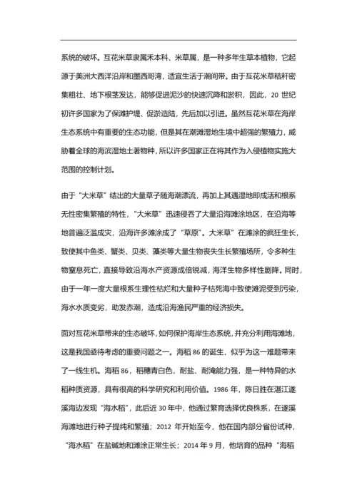 东灿海上水稻项目商业计划书.docx