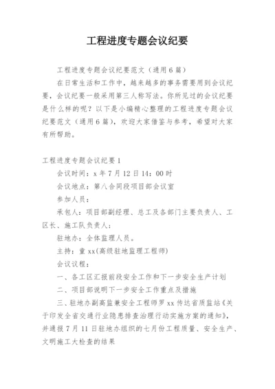 工程进度专题会议纪要.docx