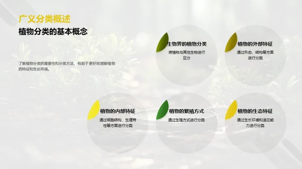 植物王国探秘