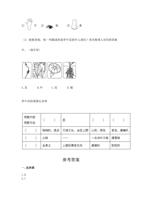 教科版科学一年级上册第一单元《植物》测试卷及完整答案（名师系列）.docx