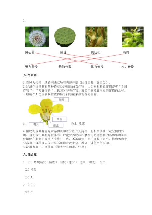 科学四年级下册第一单元植物的生长变化测试卷【模拟题】.docx