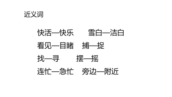 1《小蝌蚪找妈妈 》课件