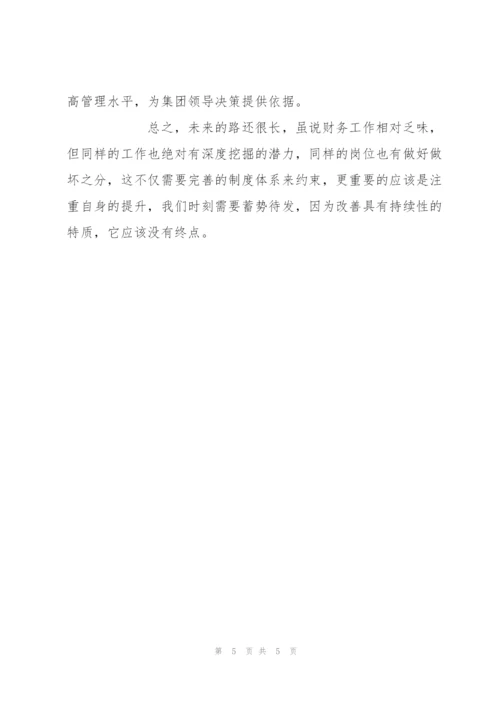 集团财务部工作报告.docx