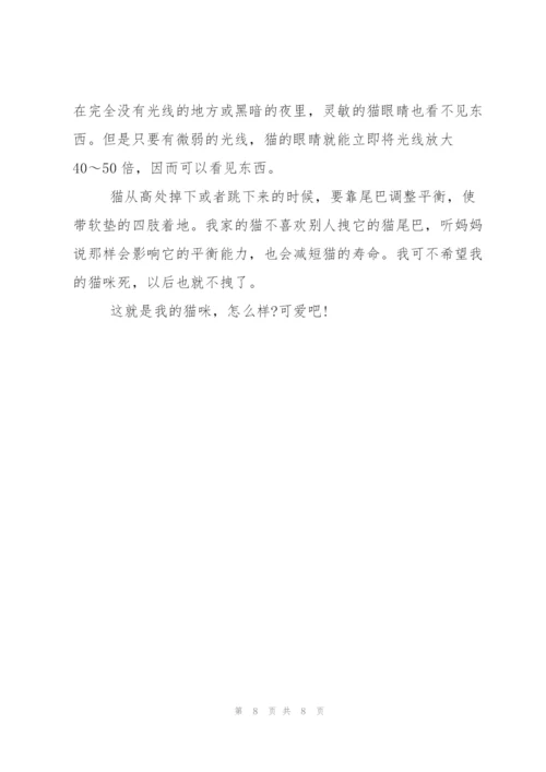小猫的作文600字五篇.docx