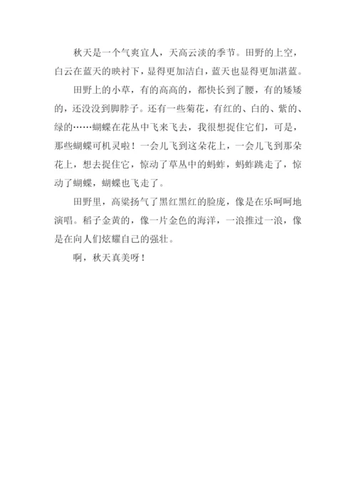 美丽的田野作文200字.docx