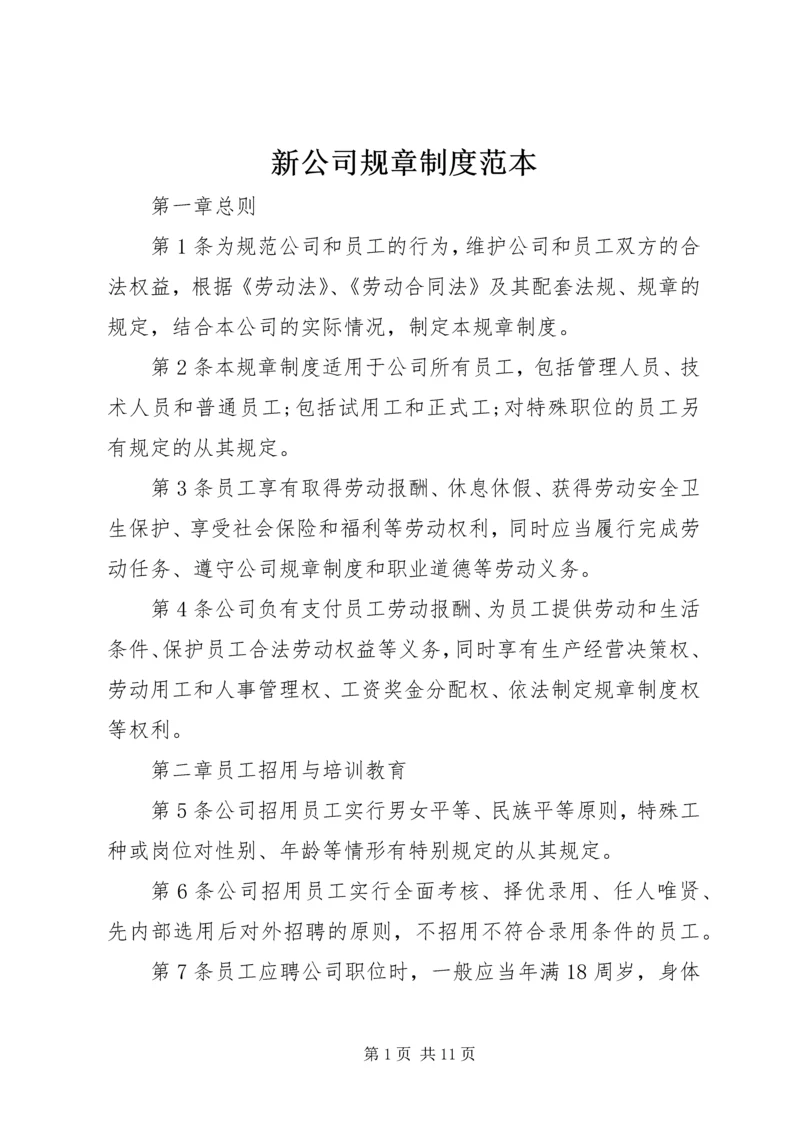 新公司规章制度范本.docx