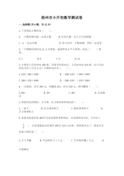 梧州市小升初数学测试卷精品.docx