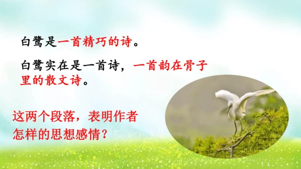 1《白鹭》（课件）