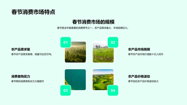 春节农品预售报告PPT模板